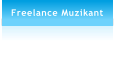 Freelance Muzikant