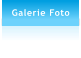 Galerie Foto
